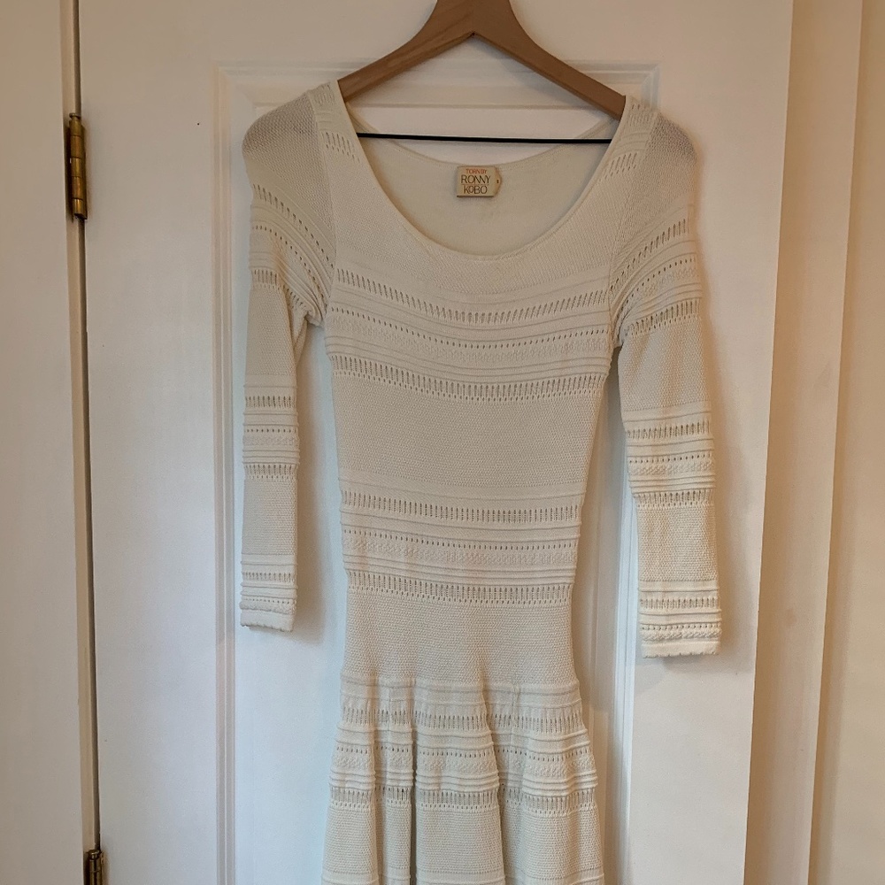 Torn by Ronny Kobo Dress